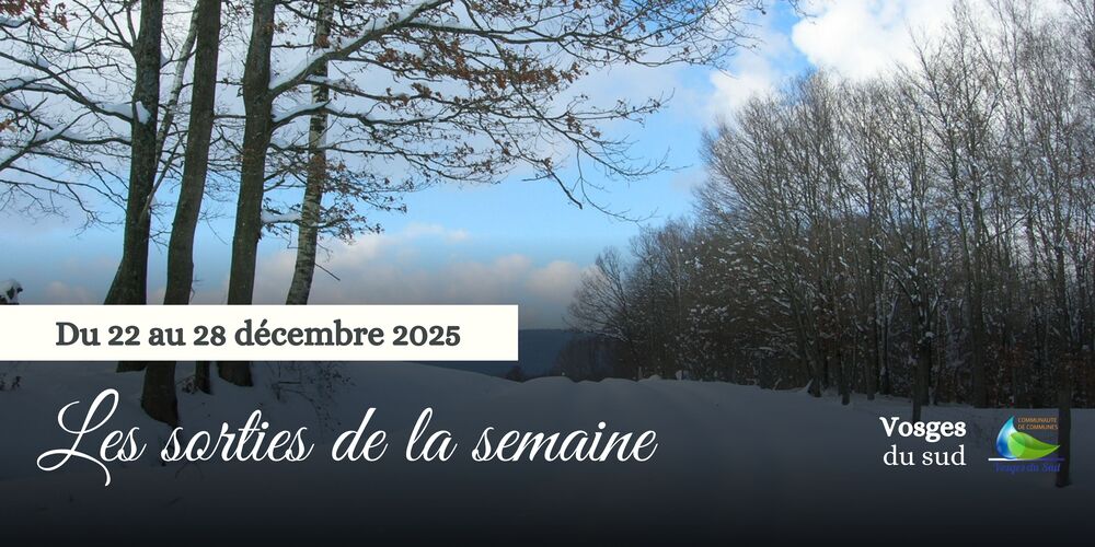 Les sorties de la semaine du 22 au 28 décembre !