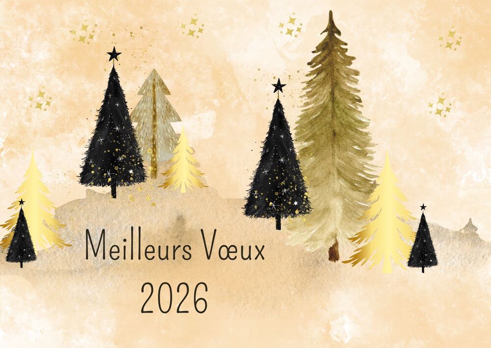 Meilleurs Voeux