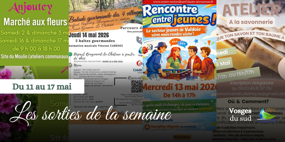 Les sorties de la semaine du 11 au 17 mai !