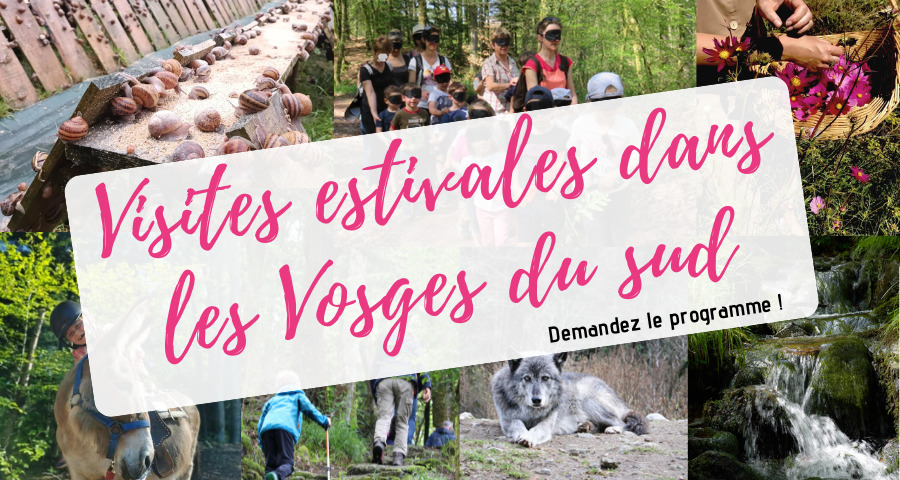 Tous en visites