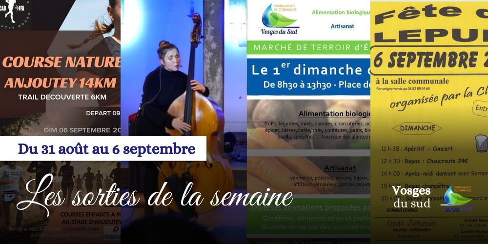 Les sorties de la semaine du 31 août au 6 septembre !