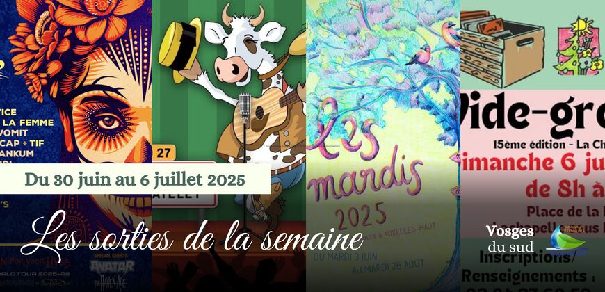 Les sorties de la semaine du 30 juin au 6 juillet !