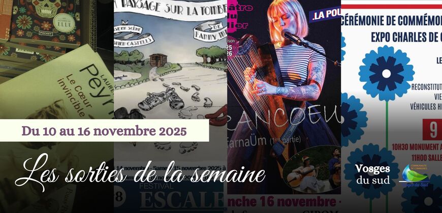 Les sorties de la semaine du 10 au 16 novembre !