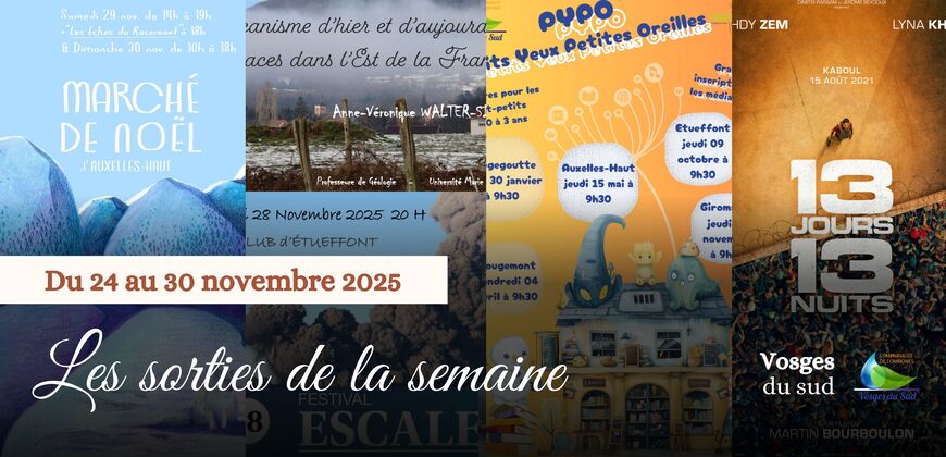 Les sorties de la semaine du 24 au 30 novembre !