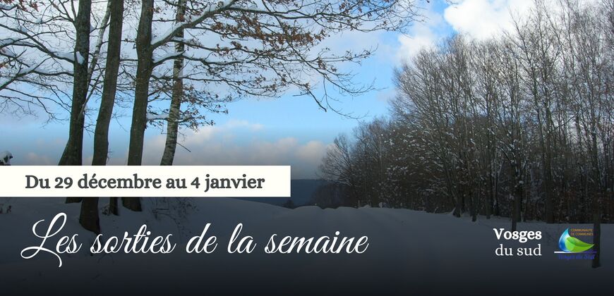 Les sorties de la semaine du 29 décembre au 4 janvier !