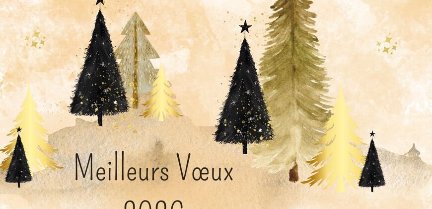 Meilleurs Voeux