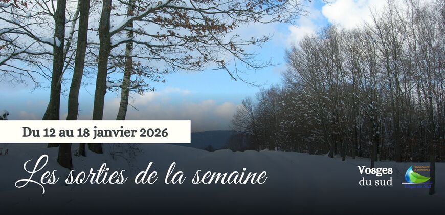 Les sorties de la semaine du 12 au 18 janvier !