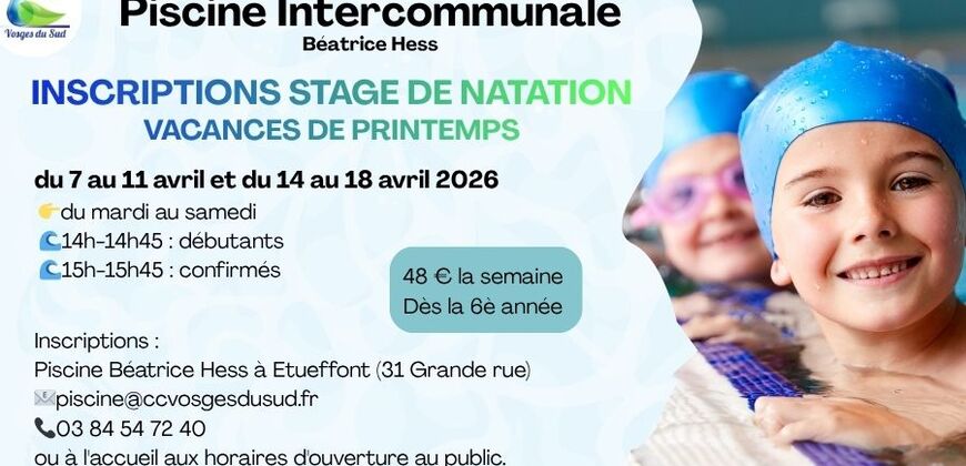 Stages de natation