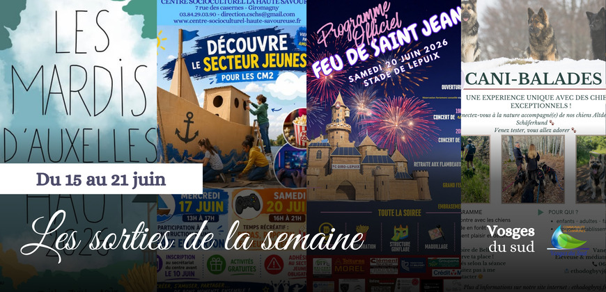 Les sorties de la semaine du 15 au 21 juin !