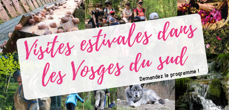 Tous en visites