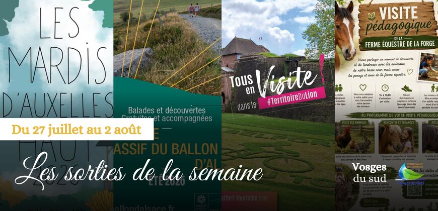 Les sorties de la semaine du 27 juillet au 2 août !