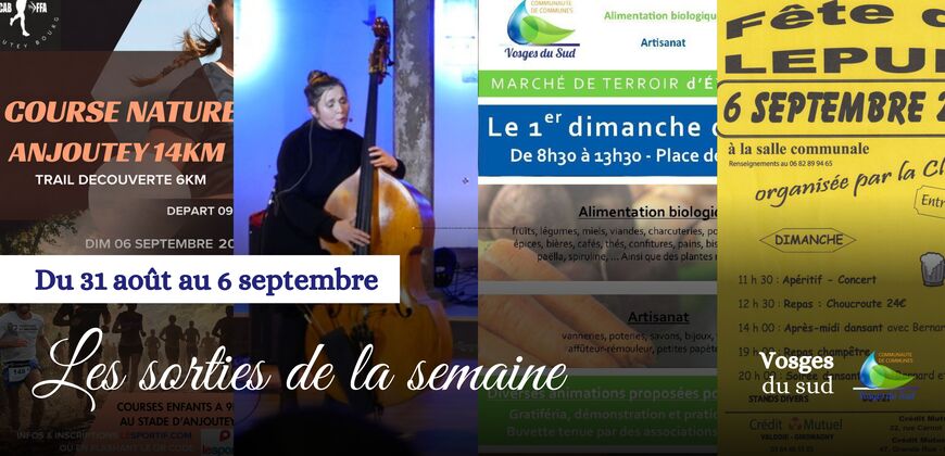Les sorties de la semaine du 31 août au 6 septembre !