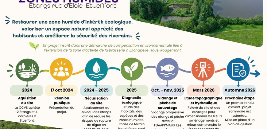 Aménagement des zones humides – Étangs rue d’Eloie à Étueffont : où en est le projet ?