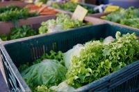 Marché herbdomadaire de Giromagny