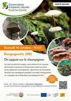 Sortie nature : on appuie sur le champignon