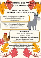 Découvre la vie secrète des animaux et deviens dresseur d'ânes !