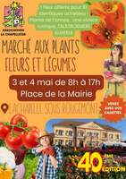 Marché aux plants, fleurs et légumes