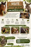 Visites pédagogiques de la Ferme et création céramique