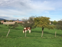 Lachapelle-sous-Rougemont