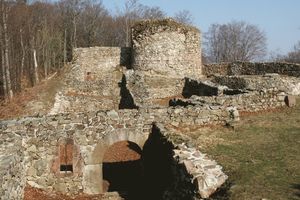 Ruines du château de Rougemont