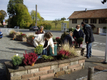 2 fleurissement automne Chapelloise