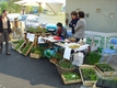 Marché de terroir à Etueffont