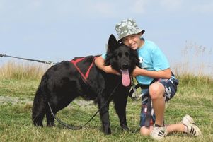 Balade avec un chien - canirando