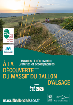 Télécharger le programme